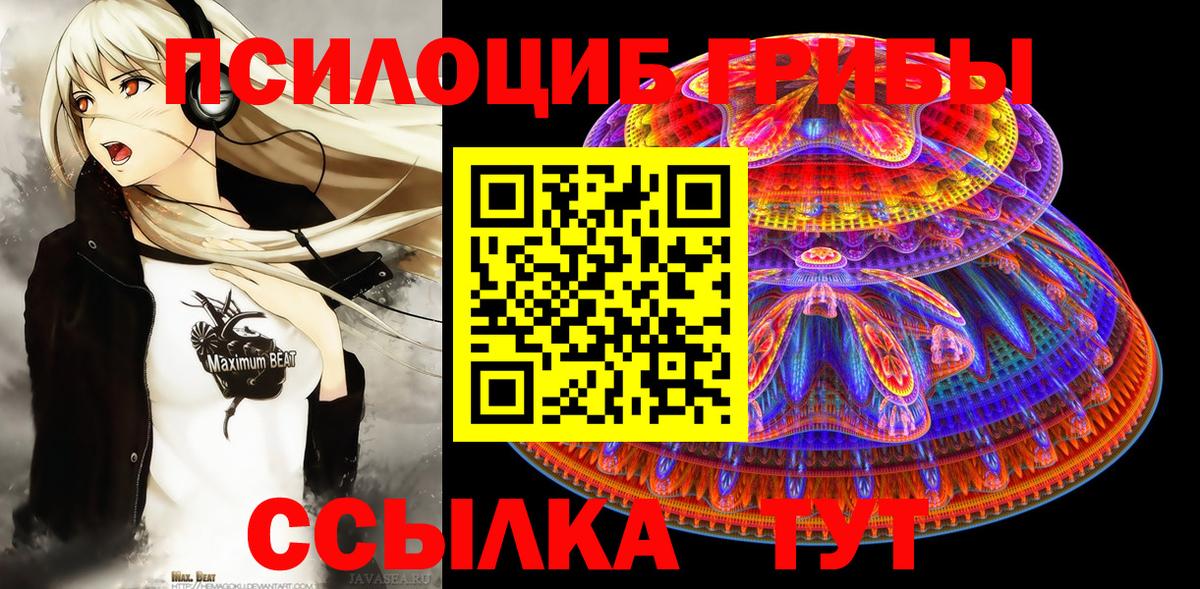 Галлюциногенные грибы Psilocybine cubensis Бор